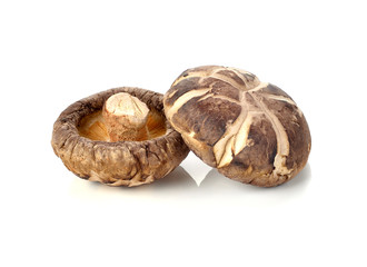 Dry Shiitake Mushroom isolated on white