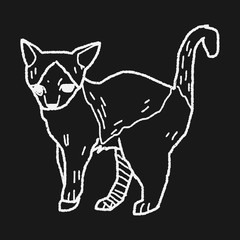 cat doodle drawing