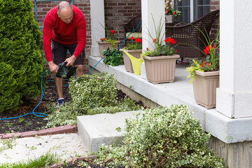 Gardener trimming shrubs in the garden