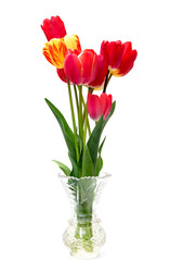 Beautiful different tulips  in vase