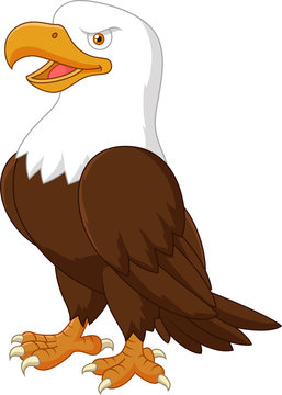 Cartoon eagle posing