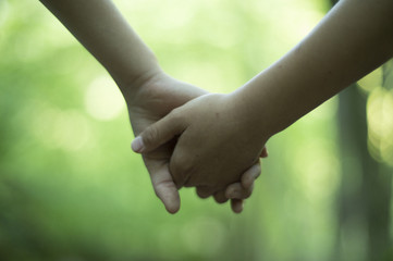 Children holding hands in the forest