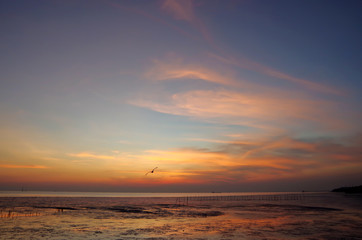 Naklejka na ściany i meble sunset over the sea with the beautiful sky