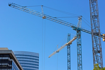 Multiple construction cranes work side by side. 