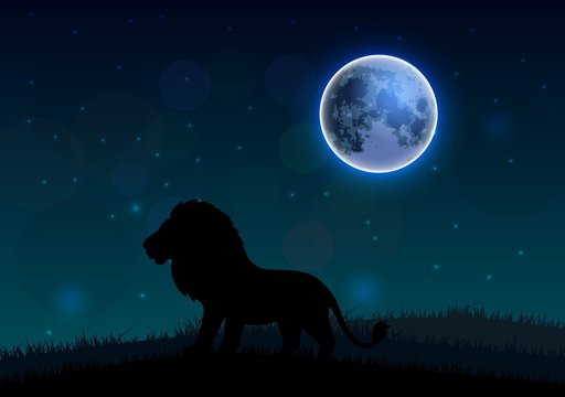 Silhouette of a lion standing on a hill at night. Vector