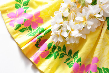 レイとパウスカート