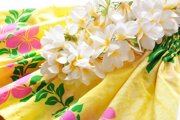 レイとパウスカート