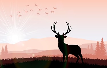  Silhouette a deer the feeding in the bright sunset. Vector