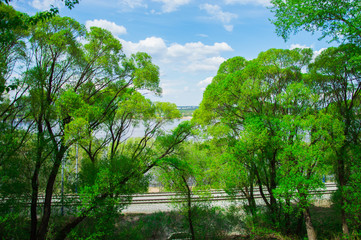 Пейзаж с видом зелёных деревьев на фоне голубого неба с облаками © plaksik13