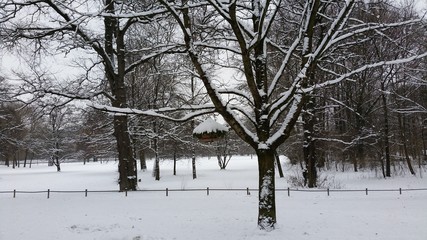 Winter wonderland on English gardens in Munich