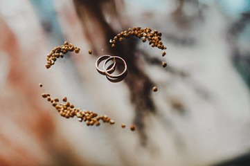 wedding rings in heart