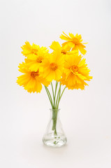 Fototapeta premium 三角フラスコと花.