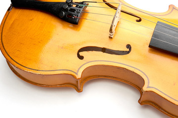 violin on white background