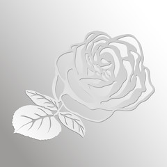 Abstract Rose cut out of paper