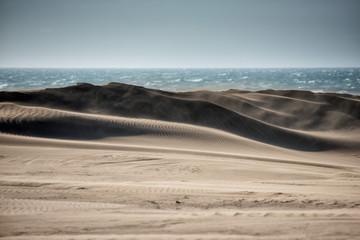 desert beach sand dunes on windy day