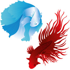 Obraz premium vector aquarium fish