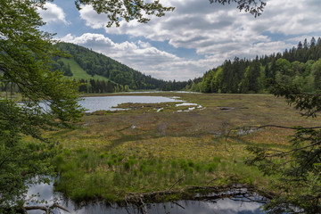 lac des vosges