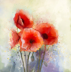 Water color red poppy flowers painting.