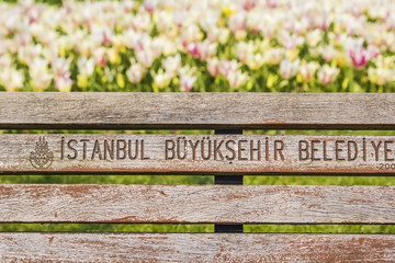 background park bench and tulips in Istanbul