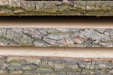 Abstract, wavy pattern in the wood of a tree stump