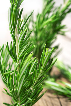 rosemary