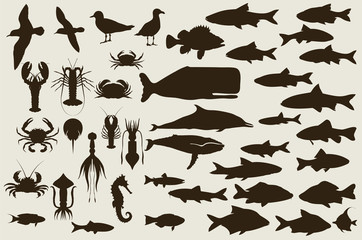 Set of marine animals. vector - obrazy, fototapety, plakaty