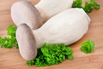 Kräuterseitlinge -  Königsausternpilz