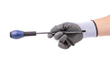 Hand in glove holding screwdriver.