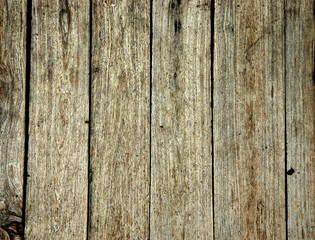 Naklejka premium Old wood wall.