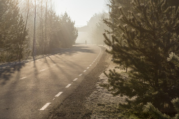 Curvy pedestrian lane with man silhouette on cobweb morning