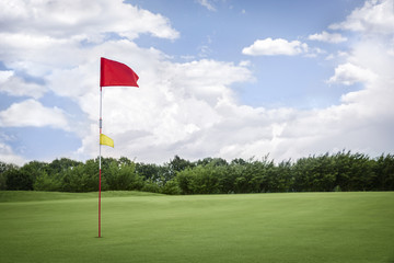 Flag on golf fairway with copyspace.