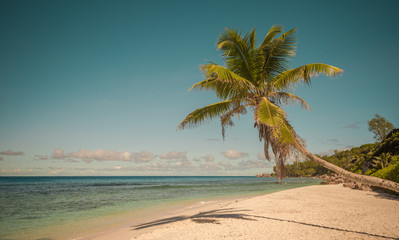 Obraz na płótnie Canvas Retro style image of tropical island beach