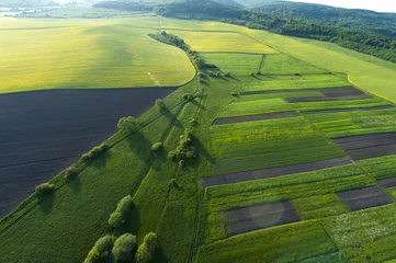 Deurstickers Luchtfoto op gele velden © neupokoev