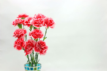 カーネーション