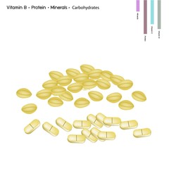 Split Pea with Vitamin B, Protein, Minerals and Carbohydrates