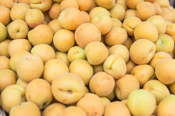 Fresh apricots