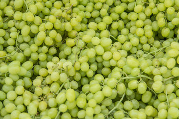 Grapes on the Market
