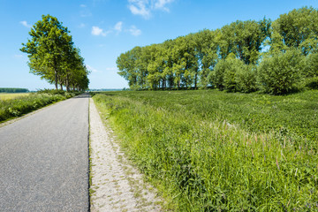 Fototapeta na wymiar Empty asphalt road through a rural area in the spring season