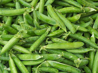 Ackerbohnen vom Markt