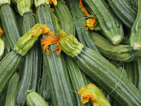 Zucchini, Zucchetti vom Marktstand