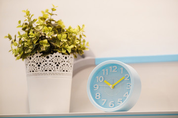  The image of flowers and alarm clocks