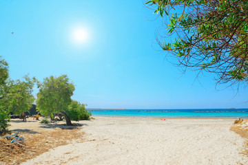 Alghero lido on a clear summer day