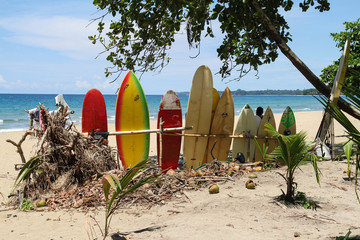 Surfboards am Karibikstrand von Costa Rica - obrazy, fototapety, plakaty