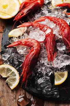 Raw fresh shrimps with ice and lemon