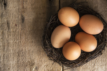Fresh eggs in birds nest in vintage retro style moody natural li