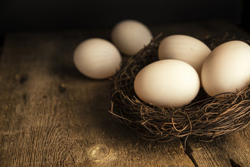 Fresh duck eggs in moody vintage retro style natural lighting se