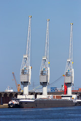 Fototapeta premium Harbor cranes