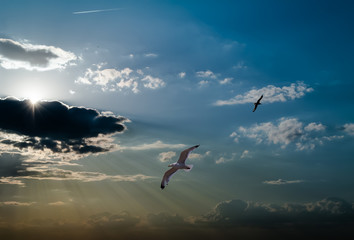 Sun and clouds on a blue sky