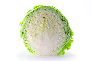 キャベツ　断面　横画像