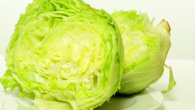 vegetables - lettuce - white background studio